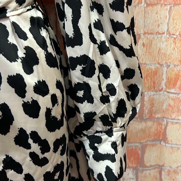 H&M Animal Print Balloon Sleeved Satin‎ Dress - Picture 5 of 16